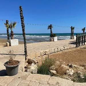Teti Pozzallo